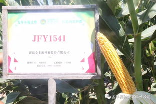 愿廣交天下好友 金豐源種業真誠待您前來