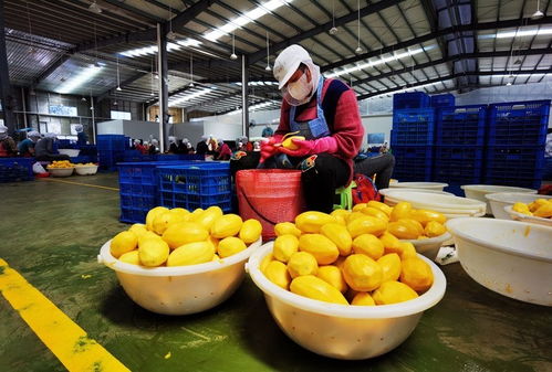 全球連線 碩果累累 中國 東盟合作有點 芒