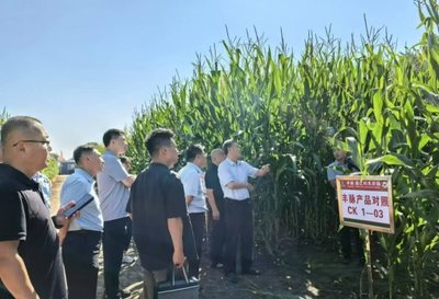 鄭州市農業農村局來我市調研種業工作 共話種業發展新篇章