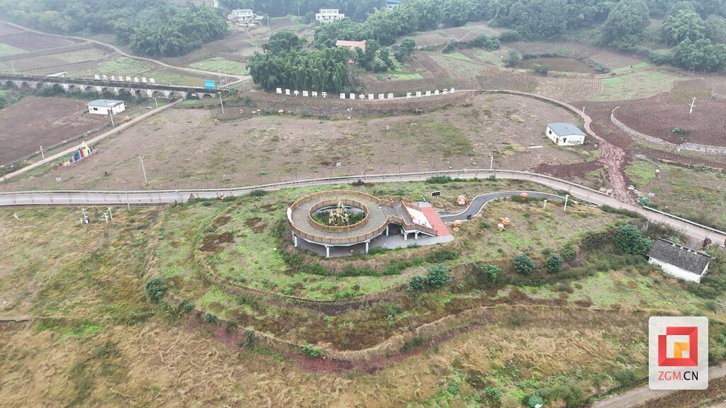 永安鎮(zhèn)大豆種業(yè)基地豐收喜人，2000畝油菜輪種續(xù)寫豐收篇章