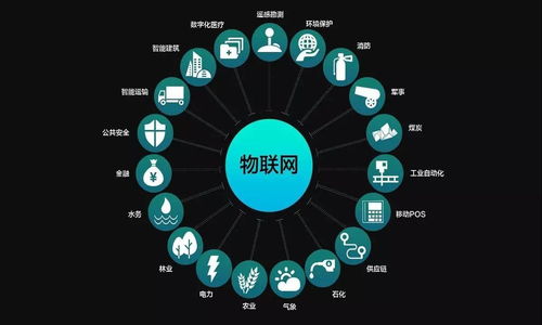 物聯(lián)網(wǎng)技術(shù) 煤礦安全的“智能守護(hù)神”