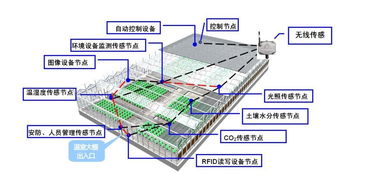 物聯(lián)網(wǎng)技術(shù)研發(fā)驅(qū)動(dòng)下的智慧農(nóng)業(yè)應(yīng)用與實(shí)踐